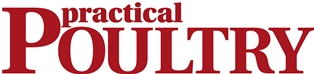 Practical Poultry